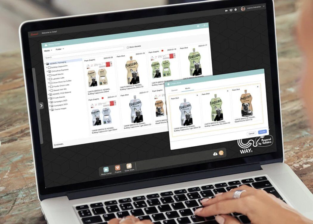 What is Digital Asset Management (DAM), DAM software, Asset management solutions, Media Center, CWAY's DAM app