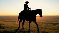 Veo generated video example. Cowboy