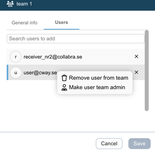 make user team admin